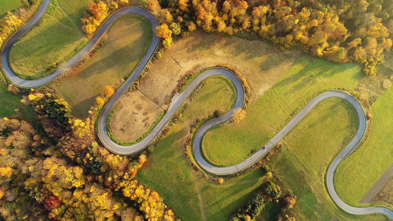 shutterstock 739805713 Bilde av fargede båter på stranden tatt ovenfra med kameradrone